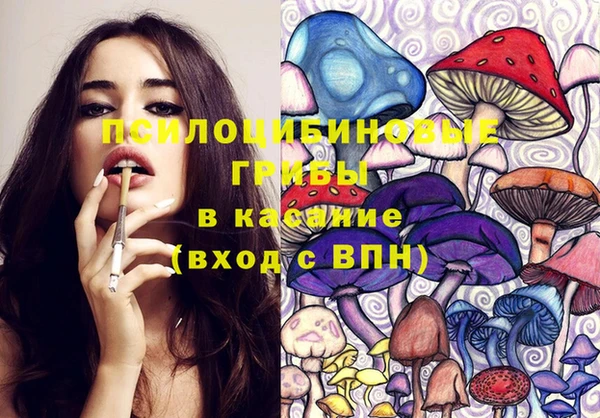 не бодяженный Переславль-Залесский
