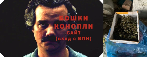 дмт Пестово