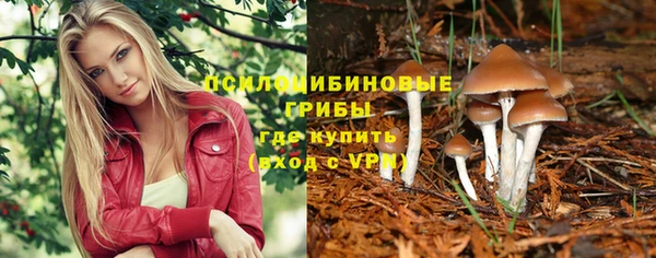 не бодяженный Переславль-Залесский