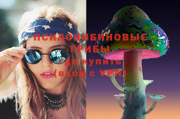 a pvp Осинники