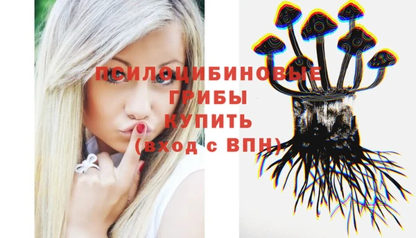 эйфоретик Пересвет