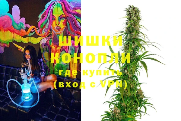 стаф Осташков