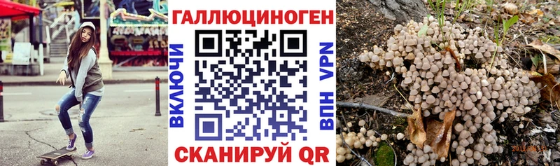 Псилоцибиновые грибы Psilocybine cubensis  omg вход  Приозерск 